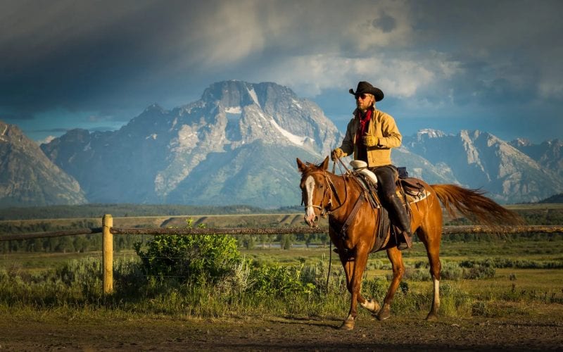 Cowboy dans un ranch aux états unis. 