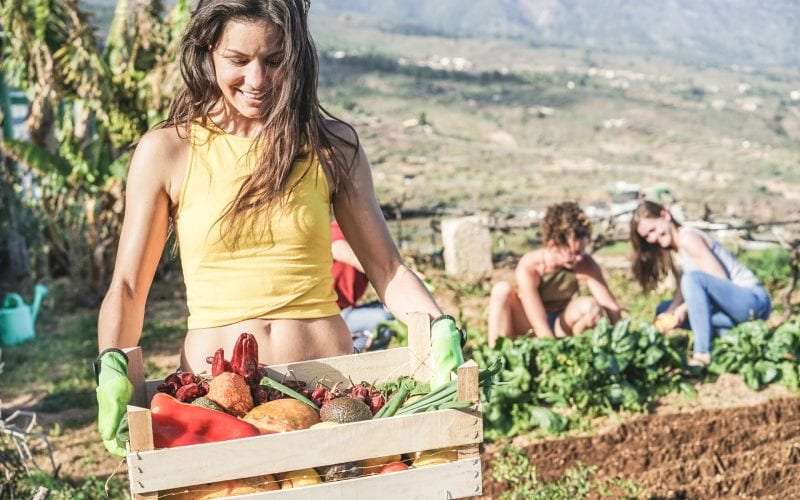 Femme récoltant des fruits et des légumes dans une ferme en Australie. 