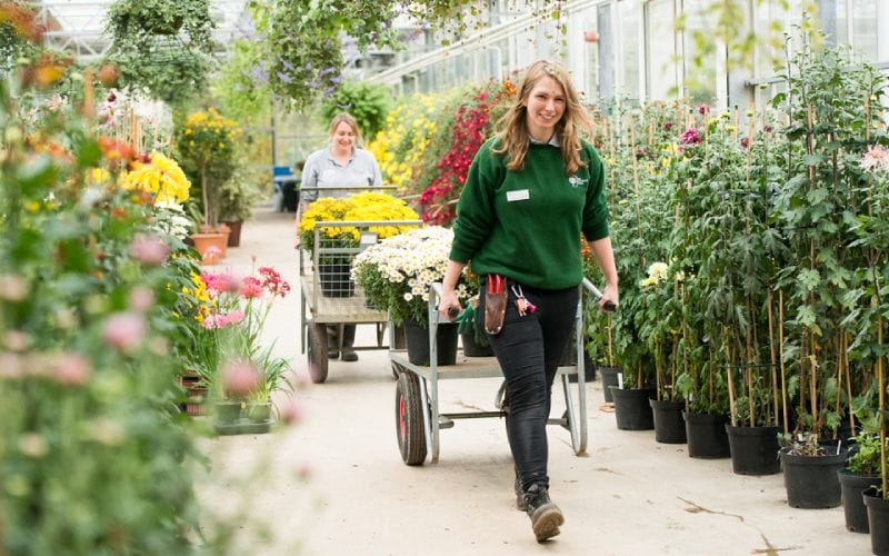 Femme récoltant des fleurs et faisant de l'horticulture. 
