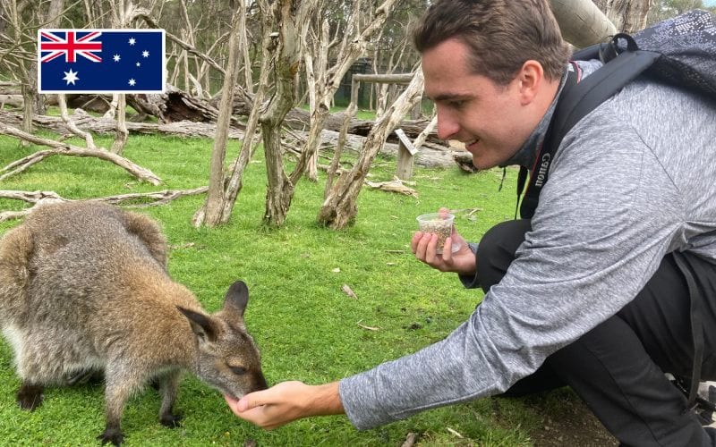 Un homme donnant à manger à un Kangourou dans un parc en Australie.