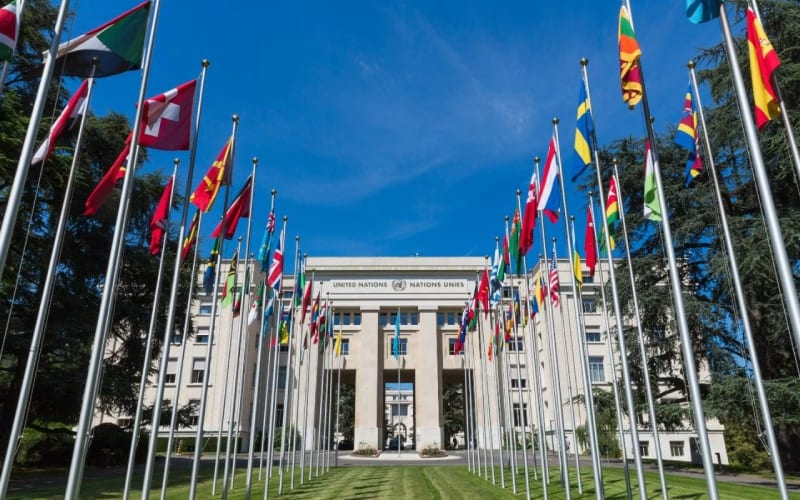 Entrée des nations unies en suisse avec tous les drapeaux du monde. 