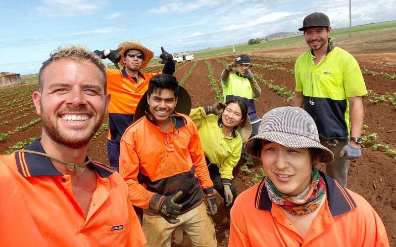 Des travailleurs étrangers heureux en Australie. 