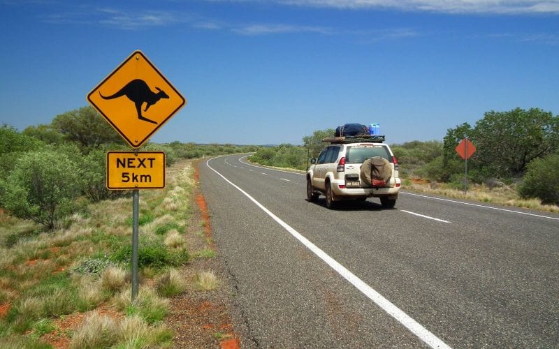 Un van sur une route en Australie, avec un panneau signalant des Kangourous. 