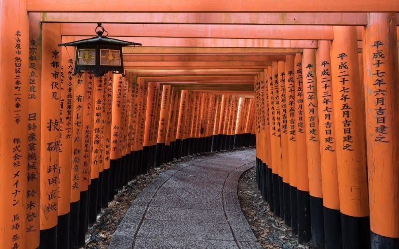 De nombreuses Torii au Japon.